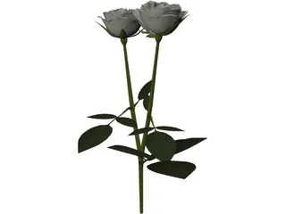 White Rose 3D Model preview