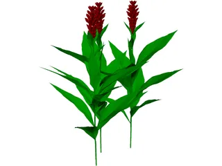 Flower 3D Model preview