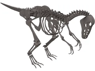 Dinosaur Skeleton 3D Model preview