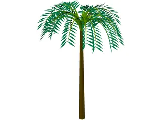 Tree Palm Tropical 3D Model preview