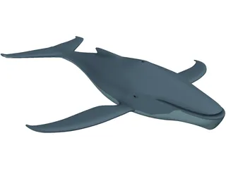 Whale Funny 3D Model preview