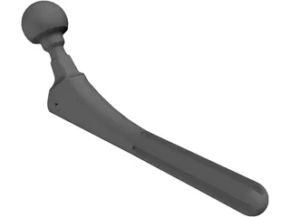 Hip Prosthesis 3D Model preview
