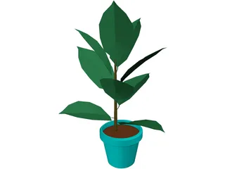 India-Rubber Plant 3D Model preview