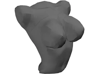 Torso Female Busty 3D Model preview