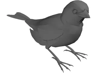 Black Bird 3D Model preview