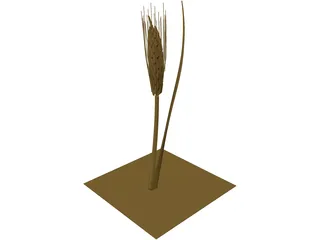 Dried Barley 3D Model preview