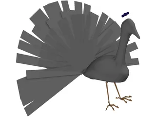 Peacock 3D Model preview