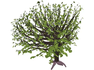 Tree 3D Model preview