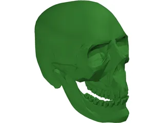 Skull 3D Model preview