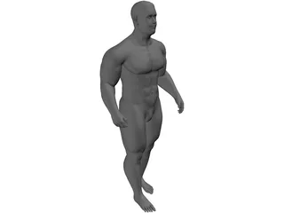 Body Builder 3D Model preview