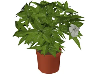 Plant 3D Model preview