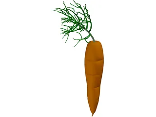 Carrot 3D Model preview