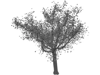 Tree 3D Model preview