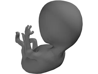 Fetus 12 Week 3D Model preview