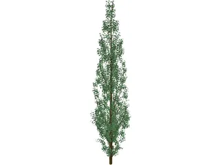 Pine Tree 3D Model preview
