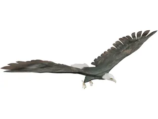 Eagle 3D Model preview