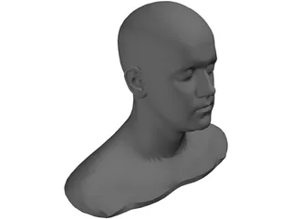 Head 3D Model preview