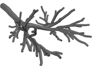 Bronchial Tree Human 3D Model preview