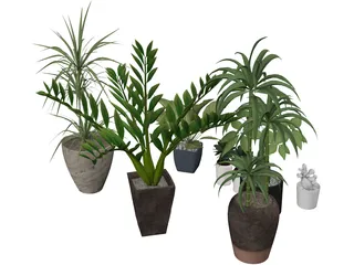 House Plant Collection 3D Model preview