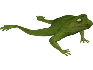 Frog 3D Model preview
