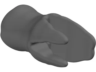 Molar Teeth 3D Model preview