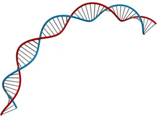 DNA 3D Model preview