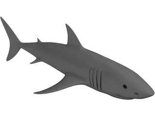Shark White 3D Model preview