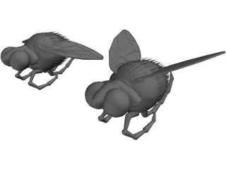 Fly 3D Model preview