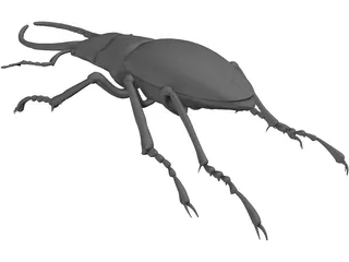 Stag Beetle 3D Model preview