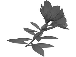 Tutuzi 3D Model preview