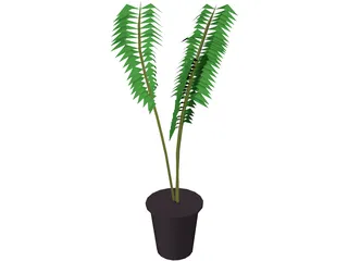 Potted Fern 3D Model preview
