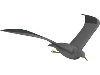 Seagull Flying 3D Model preview