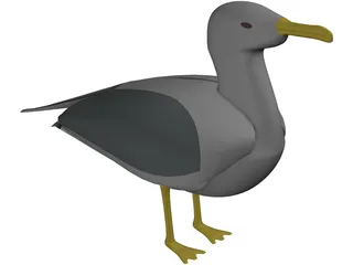 Seagull Standing 3D Model preview