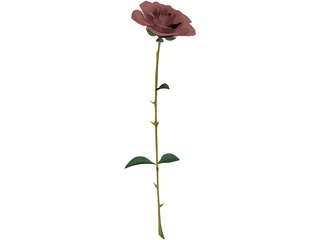 Red Rose 3D Model preview