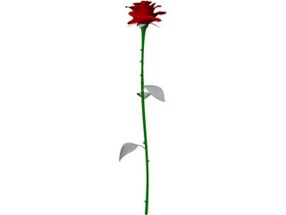 Rose 3D Model preview