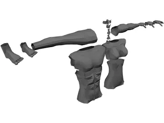 Modular Body Parts 3D Model preview