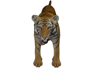 Bengal Tiger 3D Model preview