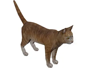 Cat 3D Model preview
