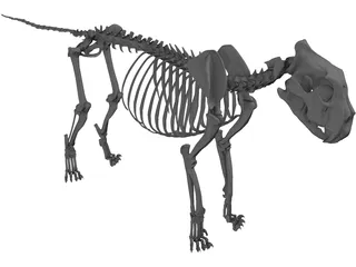Lion Skeleton 3D Model preview