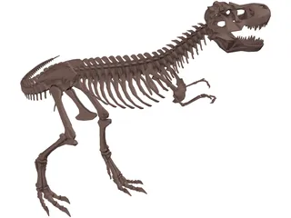 Dinosaur Skeleton 3D Model preview