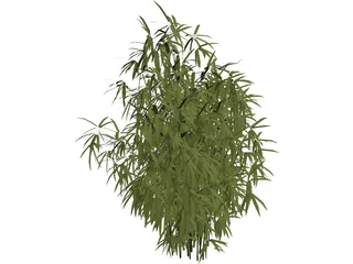 Bamboo Cluster Small 3D Model preview