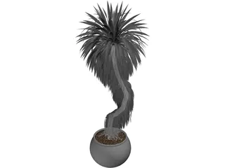 Bonsai Tree 3D Model preview