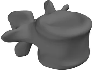 Vertebral Body 3D Model preview
