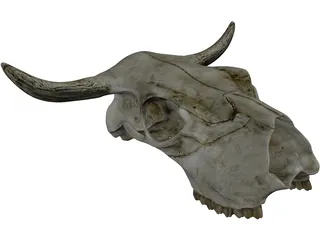 Cow Skull 3D Model preview