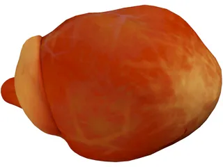 Human Heart 3D Model preview