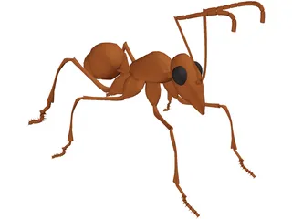 Ant 3D Model preview