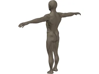Man 3D Model preview