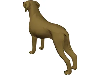 Dog Braco 3D Model preview