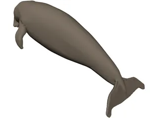Dudongo 3D Model preview