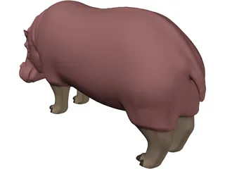 Hippopotamus 3D Model preview